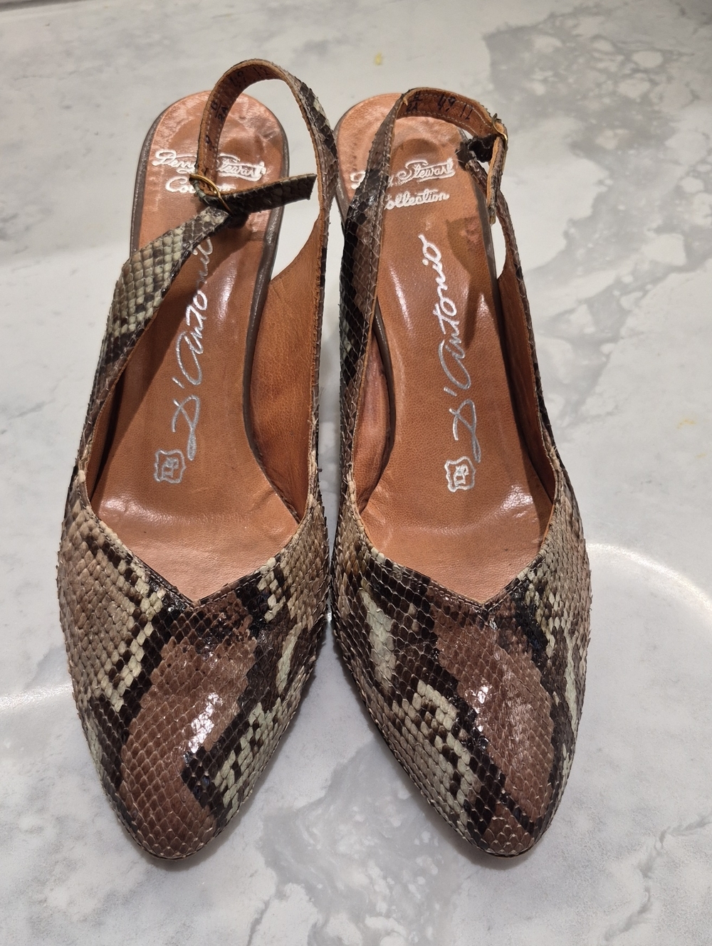 D'Antonio Snakeskin And Leather Slingback Pumps